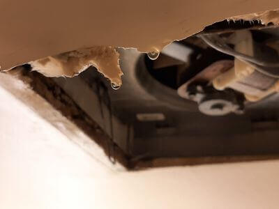 Professional emergency flood repair services in Los Angeles